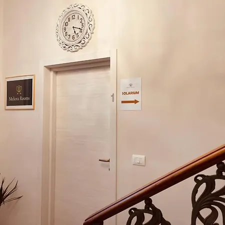 Meliora Avola